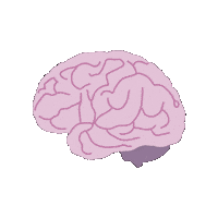 Brain Medicine Sticker by Lecturio Medical