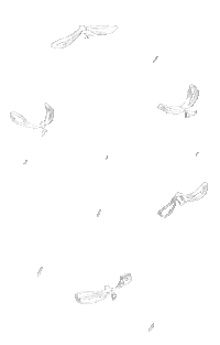 Flying Birds Fly Sticker
