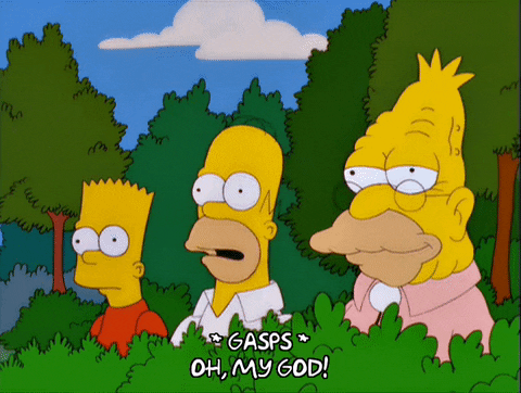 homer simpson GIF