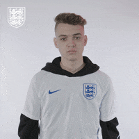 Three Lions Football GIF by England