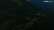 104 GIF by The Roku Channel