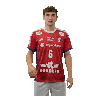 Handball Hamburg Sticker by DAIKIN HBL