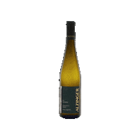 weingutalzinger drink wine wein riesling Sticker