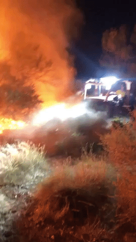 Fire Crew Works Through Night to Contain Forest Fire in Albuquerque