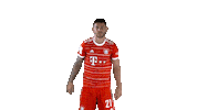 Lucas Hernandez Football Sticker by FC Bayern Munich