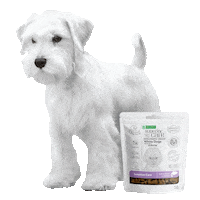Dogs Snacks Sticker by Nature's Protection