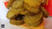 Competitive Eater Demolishes Cheeseburger Topped With 100 Pickles