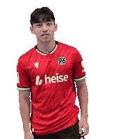 Lee H96 Sticker by Hannover 96