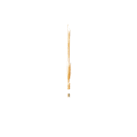 24K Gold Sticker by UBS Lifestyle
