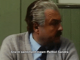 carwpiws cymraeg s4c teledu sentiment GIF