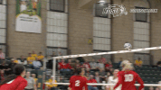north dakota state bison GIF by NDSU Athletics
