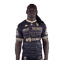 Pro D2 Rugby Sticker by US Carcassonne