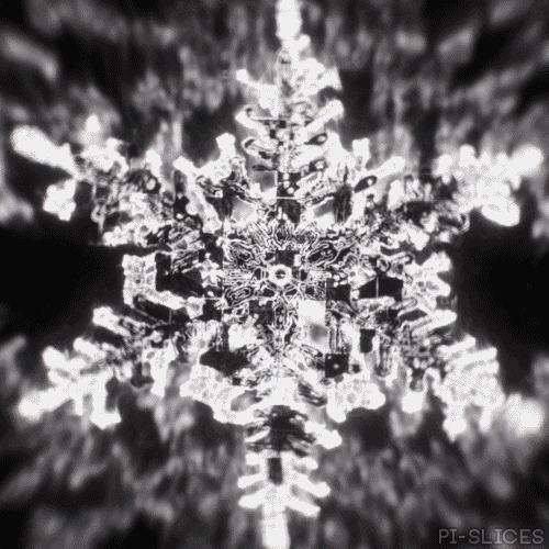 Black And White Loop GIF by Pi-Slices