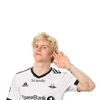 Rosenborg Sticker by RBK