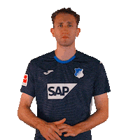 Sport Bundesliga Sticker by TSG Hoffenheim