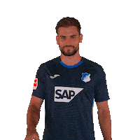 Sport Bundesliga Sticker by TSG Hoffenheim