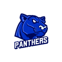 HellcatsCheer panthers hellcats hellcats cheerleaders hellcatscheerleaders Sticker