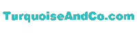 TurquoiseAndCo turquoise turquoise co turquoiseco turquoisecompany Sticker