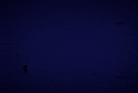 Beverage Softdrink GIF by Thums Up