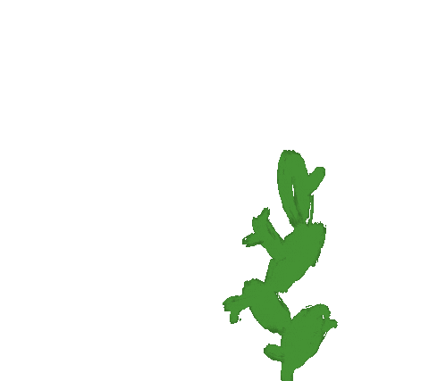 Plant Cactus Sticker by Suany
