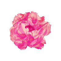 Newbeginnings Sticker by HeZza FeZza