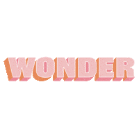 Bethel_Redding wonder wonderconference2019 bethelwonder wonderconference Sticker