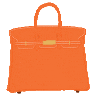byasteria orange luxury ootd bags Sticker