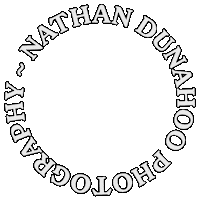 Ndp Sticker by Nathan Dunahoo Photography