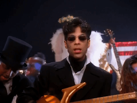 prince dolphin GIF