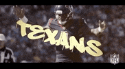 2019 Nfl Football GIF by NFL