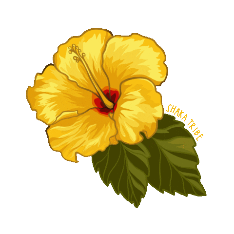 shakatribe flower hawaii hibiscus yellow flower Sticker