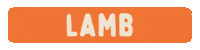 Recipe Lamb Sticker by Big Dog Pet Foods