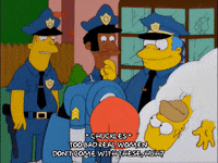 homer simpson GIF