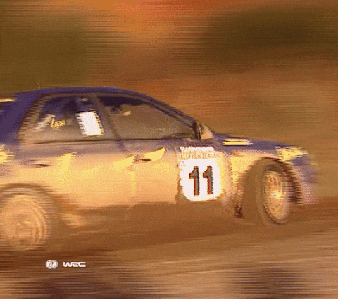 Motorsports Subaru GIF by FIA World Rally Championship