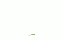 EthicAdvisor logo ethicadvisor animation GIF