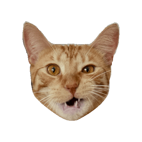 mylesandspot giphygifmaker Sticker