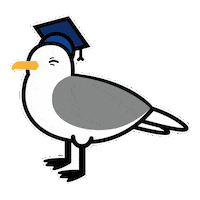 sunderlanduni hawaythegrads Sticker by The University of Sunderland