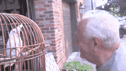 Swaying Frank Sinatra GIF by Eternal Family