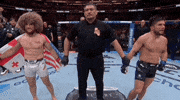 Mixed Martial Arts Sport GIF by UFC