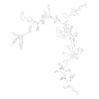 Flower Minimalist Sticker