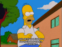 homer simpson GIF