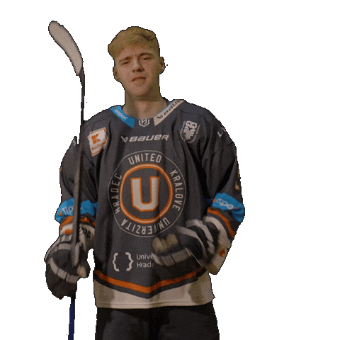 Uhk Sticker by UNIted HK