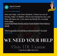 ChrisTDLUkraineSupport help support war ukraine GIF