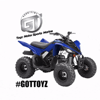 gttoyz  GIF
