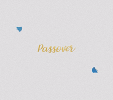 Jewish People GIF by evite