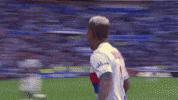 lyon mariano GIF by Olympique Lyonnais