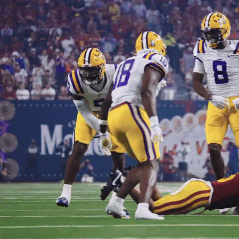 College Football GIF by LSU Tigers