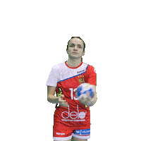 Sport Team Sticker by Rushandball