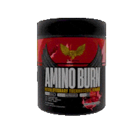Sport Workout Sticker by Revel Nutrition