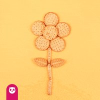 Food Flower GIF by foodpanda